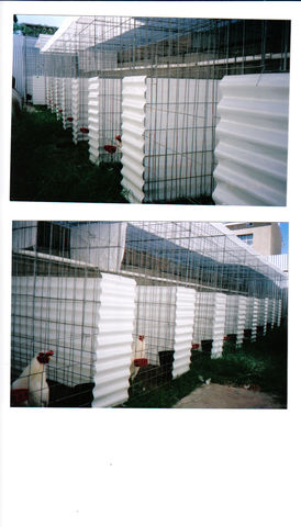 Instalaciones
Los Angelitos